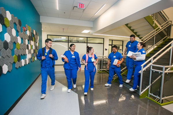 The Division Of Nursing And Allied Health South Texas College